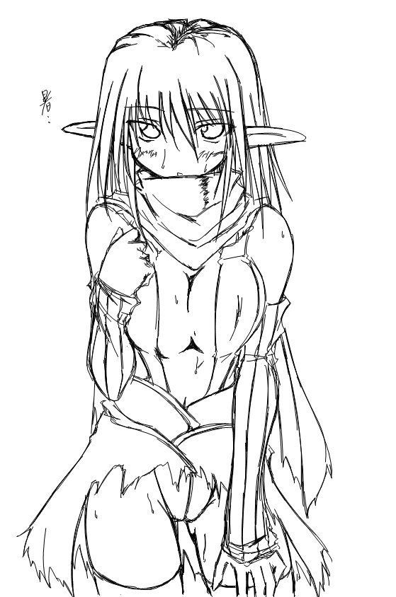 kaminagi (kaminagi-tei), assassin cross (ragnarok online), ragnarok online, tagme, greyscale, monochrome, pointy ears, solo, thighhighs