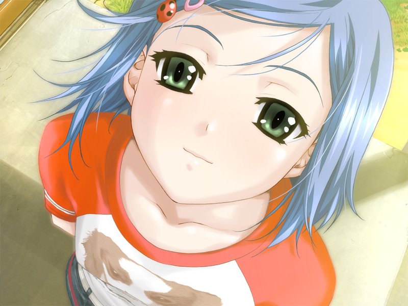 happoubi jin, koromogae maya, resort boin, game cg, 00s, 1girl, blue hair, collarbone, female focus, green eyes, hair ornament, hairclip, raglan sleeves, short hair, solo