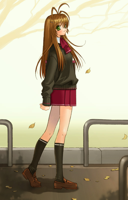 hyougo kikusuimaru, ahoge, antenna hair, brown hair, green eyes, road, school uniform, serafuku, solo, street, walking