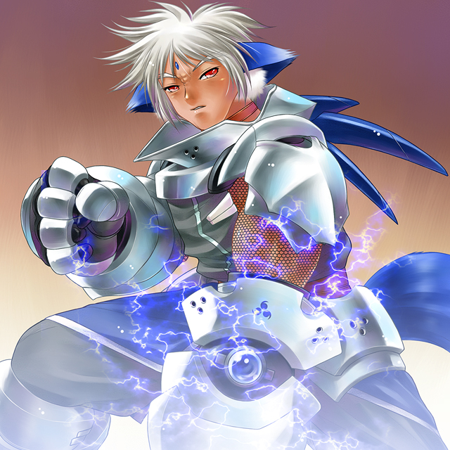 ayato, zafira, lyrical nanoha, mahou shoujo lyrical nanoha, mahou shoujo lyrical nanoha a's, 00s, 1boy, animal ears, armor, male focus, solo