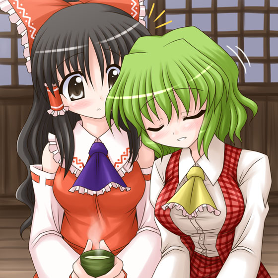 bococho, hakurei reimu, kazami yuuka, touhou, 2girls, ascot, black hair, breasts, brown eyes, closed eyes, cup, female focus, green hair, green tea, head on another's shoulder, large breasts, multiple girls, plaid clothes, plaid skirt, plaid vest, short hair, skirt, skirt set, sleeping, steam, tea, vest