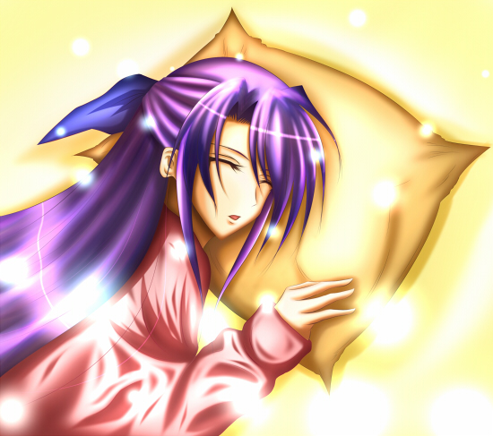 ginga nakajima, lyrical nanoha, mahou shoujo lyrical nanoha, mahou shoujo lyrical nanoha strikers, 00s, closed eyes, pillow, purple hair, sleeping, solo