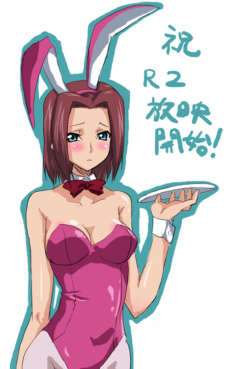 nagisa manoa, kouzuki kallen, code geass, 00s, animal ears, fake animal ears, leotard, pantyhose, pink pantyhose, plate, playboy bunny, rabbit ears, solo, tray