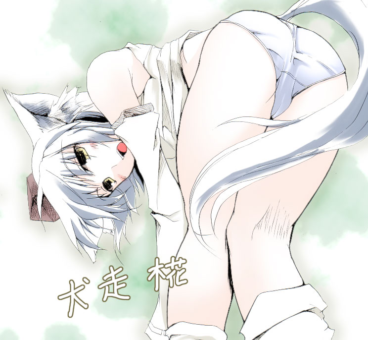 gisyo, inubashiri momiji, touhou, 1girl, animal ears, ass, bare shoulders, bent over, blush, detached sleeves, female focus, hat, kneepits, no pants, panties, short hair, solo, tail, tokin hat, underwear, white hair, wolf ears, wolf tail, yellow eyes
