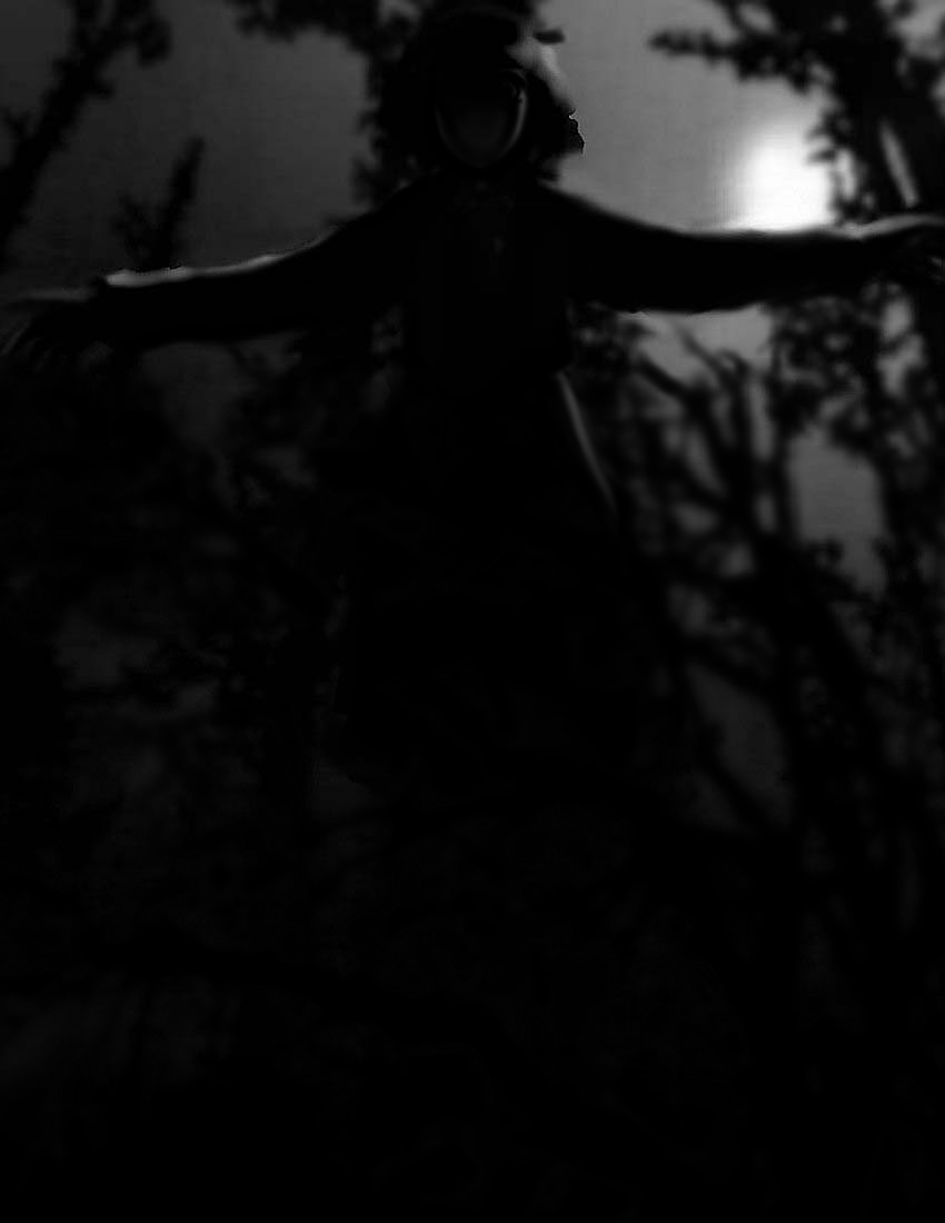 futon (kitsune tsuki), kitsune tsuki, rumia, embodiment of scarlet devil, touhou, 1girl, dark, female focus, greyscale, monochrome, outstretched arms, solo, spread arms