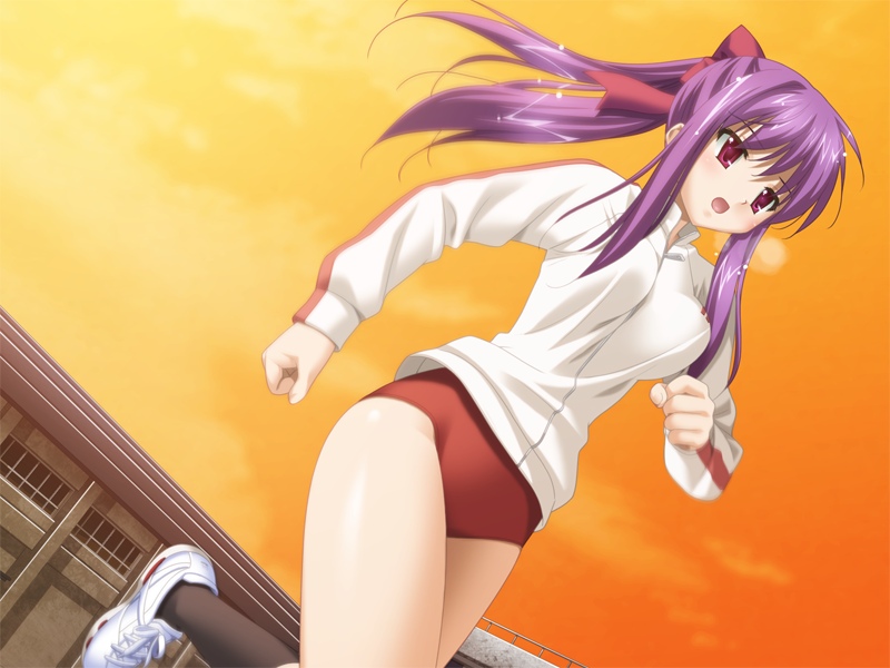 kani biimu, odajima kosuzu, aki no urara no akane-iro shoutengai, game cg, 1girl, black socks, breasts, breath, buruma, cloud, dutch angle, female focus, gym uniform, hair ribbon, jacket, long sleeves, looking at viewer, medium breasts, open mouth, orange sky, ponytail, purple eyes, purple hair, purple ribbon, red buruma, ribbon, running, school, shoes, sky, sneakers, socks, solo, white jacket, white shoes, window