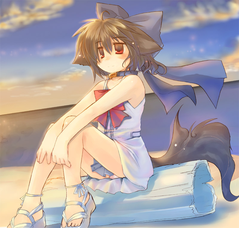 toba hiyoko, kannagi cocoa, original, animal ears, brown hair, collar, hair ribbon, red eyes, ribbon, solo, tail
