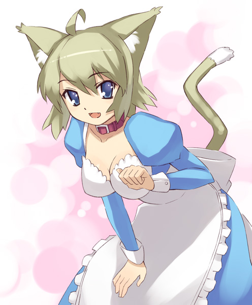 oryo (oryo04), original, bad id, bad pixiv id, animal ears, apron, breasts, cat ears, cat tail, cleavage, collar, maid, maid apron, pink background, solo, tail