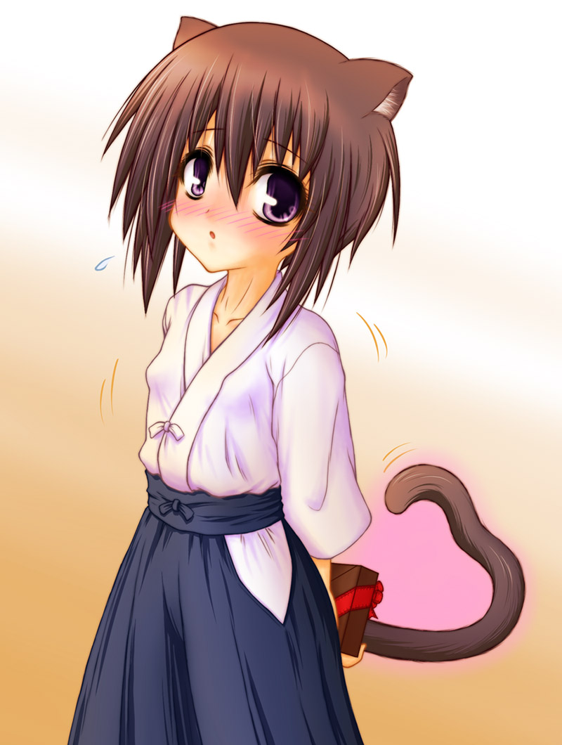 fuyutsuki hide, kawazoe tamaki, bamboo blade, 00s, 1girl, animal ears, blue hakama, blush, cat ears, cat tail, female focus, hakama, hakama skirt, japanese clothes, skirt, solo, tail, valentine