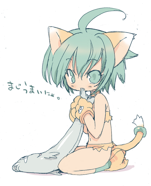 blade (galaxist), cham cham, samurai spirits, snk, bad id, bad pixiv id, 1girl, animal ears, animal hands, cat ears, cat paws, cat tail, female focus, fish, gloves, green eyes, grey hair, kneeling, paw gloves, paw shoes, shoes, solo, tail