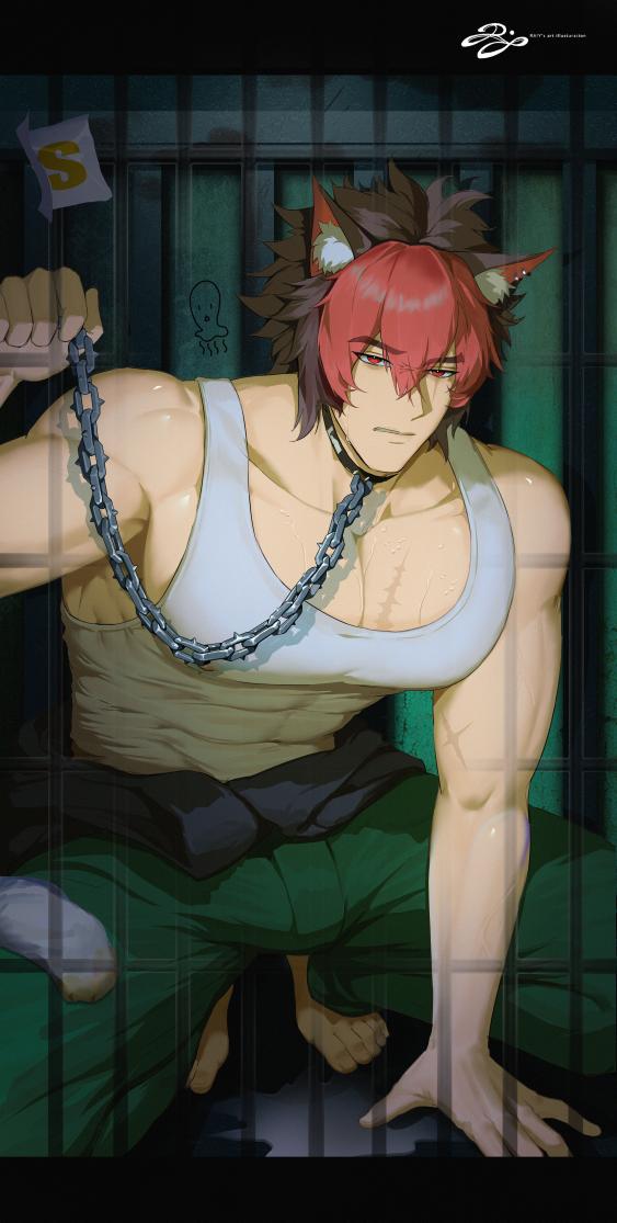 komano manato, zenless zone zero, animal ears, barefoot, cage, cargo pants, chain, collar, dog boy, dog ears, male focus, multicolored hair, multiple scars, muscular, muscular male, pants, rai11iy, red bandage, red eyes, scar, scar across eye, scar on chest, scar on face, shirt, white shirt