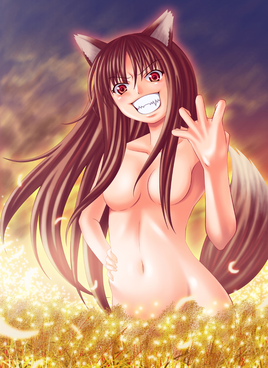 nukunuku (hinataboltuko), holo, spice and wolf, highres, 00s, animal ears, nude, solo, tail, wolf ears, wolf tail