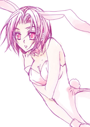 sucharaka honpo, kouzuki kallen, code geass, lowres, 00s, animal ears, fake animal ears, leotard, pantyhose, playboy bunny, rabbit ears, solo