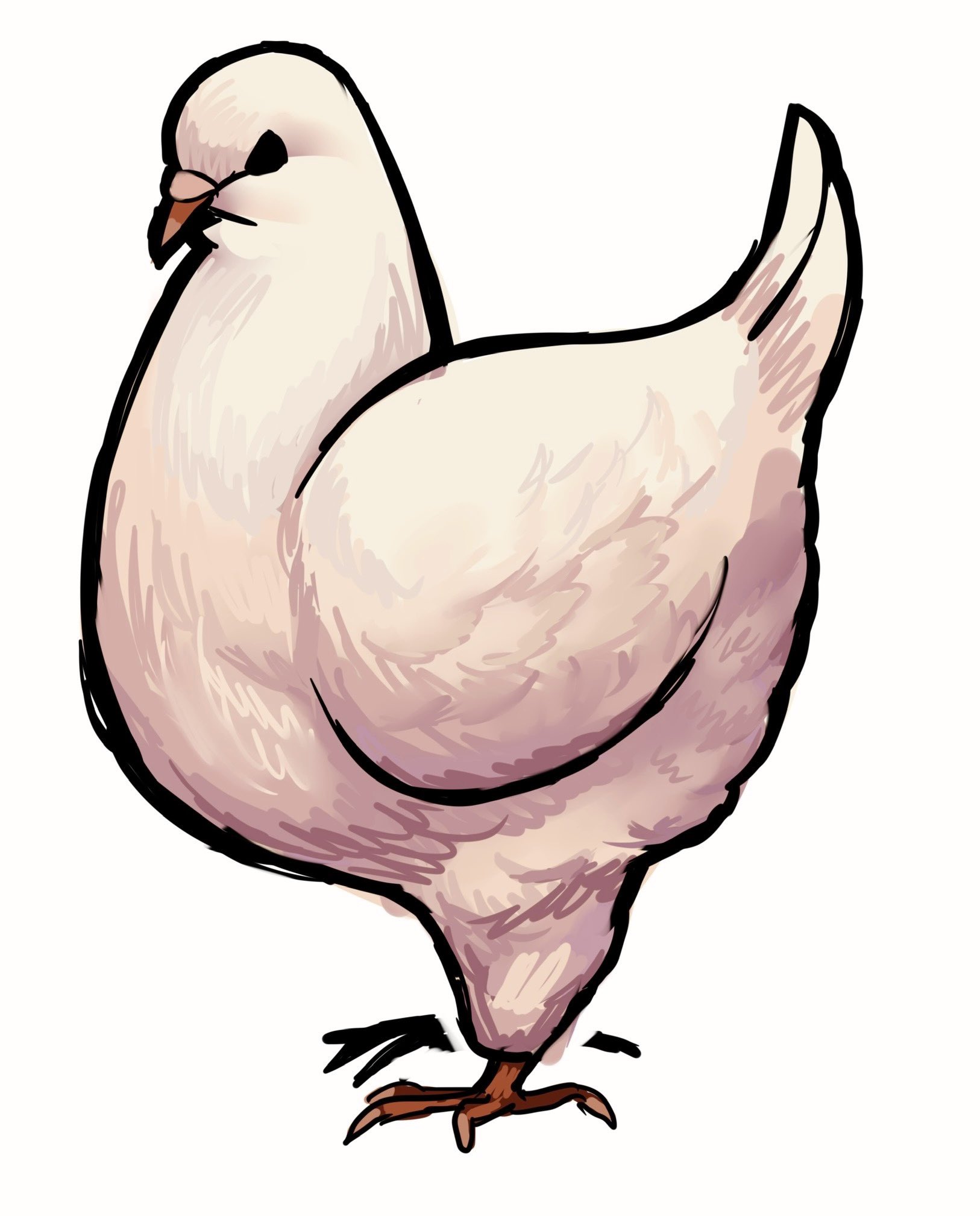 original, commentary, english commentary, highres, animal focus, bird, black outline, boofboof73, dove, from side, full body, looking at viewer, no humans, outline, painterly, simple background, standing, white background