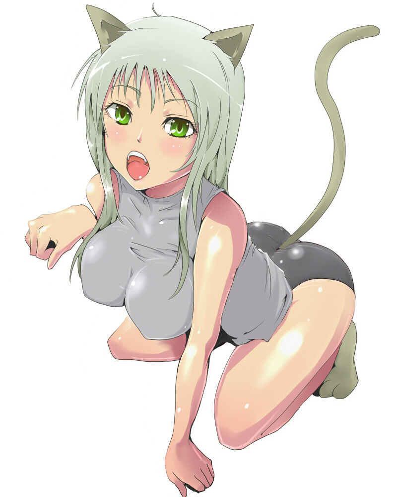 kasai shin, original, silver hair, 1girl, animal ears, cat ears, cat tail, female focus, green eyes, kneeling, long hair, simple background, solo, tail, white background