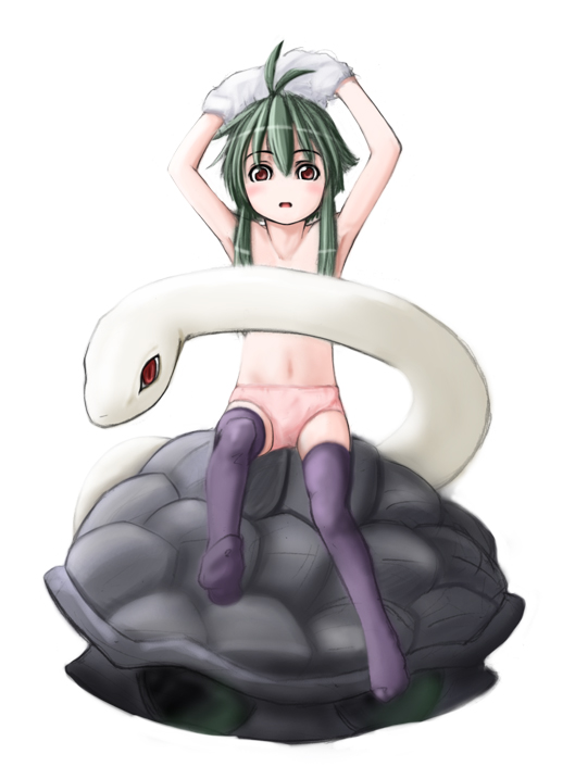 yonekura hisaki, blush, flat chest, panties, snake, thighhighs, topless female, turtle, underwear, undressing