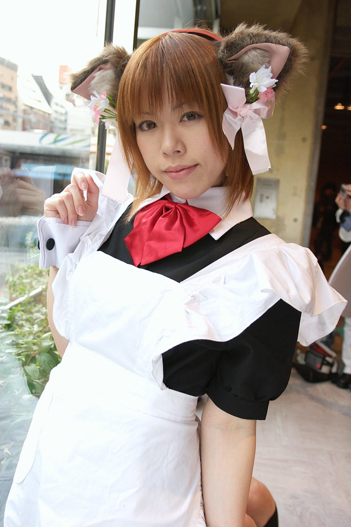 photo (medium), animal ears, apron, cat ears, cosplay, hair ribbon, maid, maid apron, ribbon, suzuka sha yumi