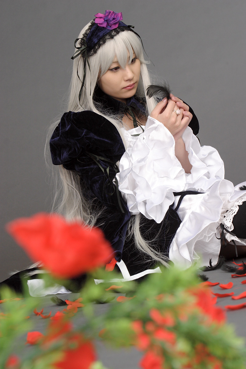 suzukaze yuuki, suigintou, rozen maiden, silver hair, highres, photo (medium), cosplay, feathers, flower, frills, kneehighs, petals, rose, rose petals, socks