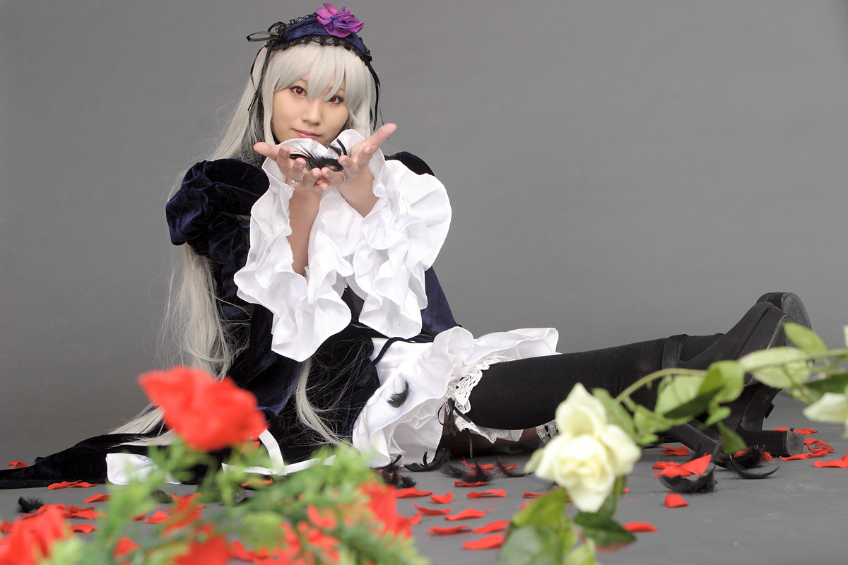 suzukaze yuuki, suigintou, rozen maiden, silver hair, photo (medium), cosplay, feathers, flower, frills, kneehighs, petals, rose, rose petals, socks
