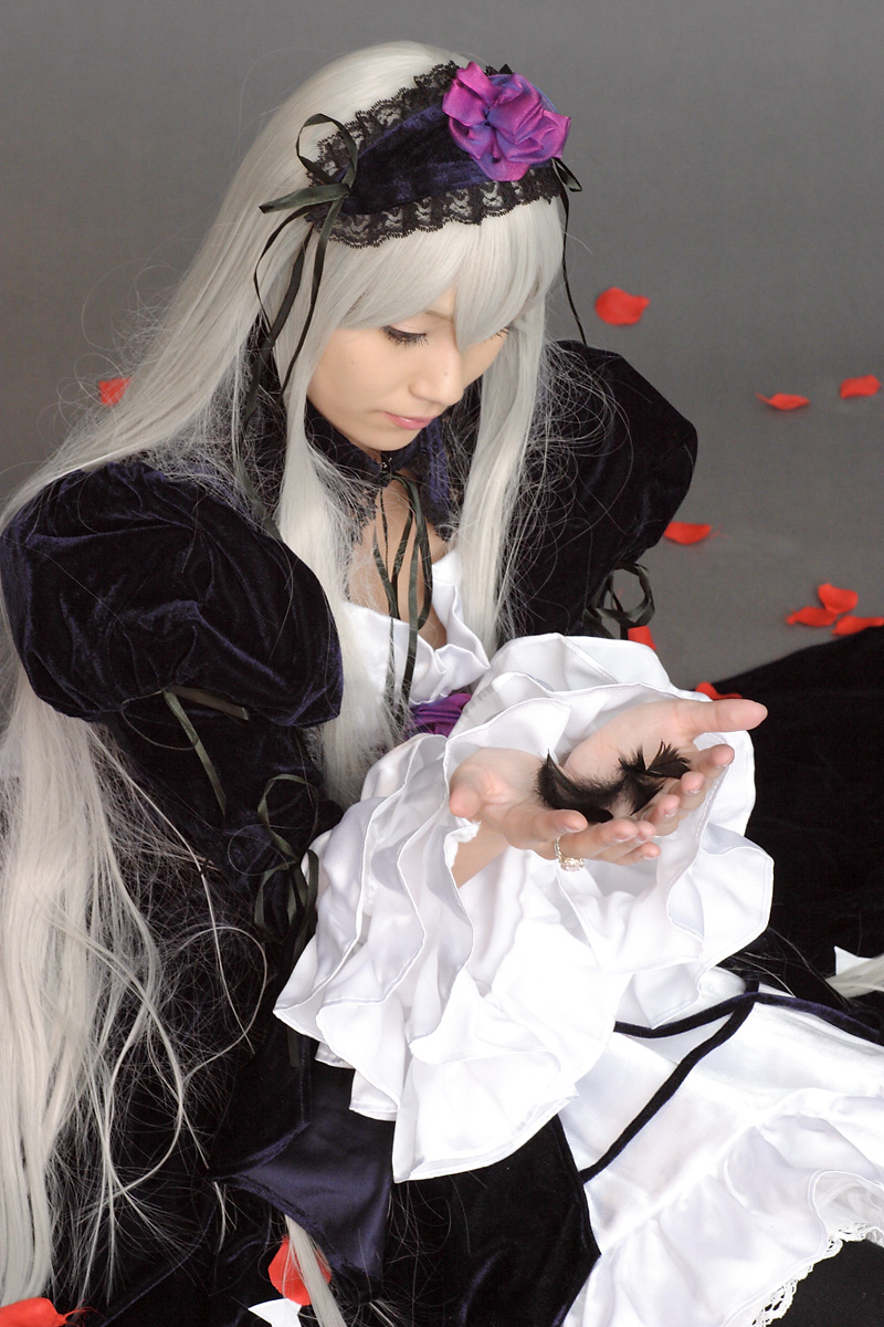 suzukaze yuuki, suigintou, rozen maiden, silver hair, highres, photo (medium), cosplay, feathers, frills, kneehighs, petals, rose petals, socks