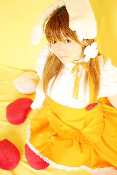 mizuhara arisa, usada akari, di gi charat, photo (medium), tagme, cosplay