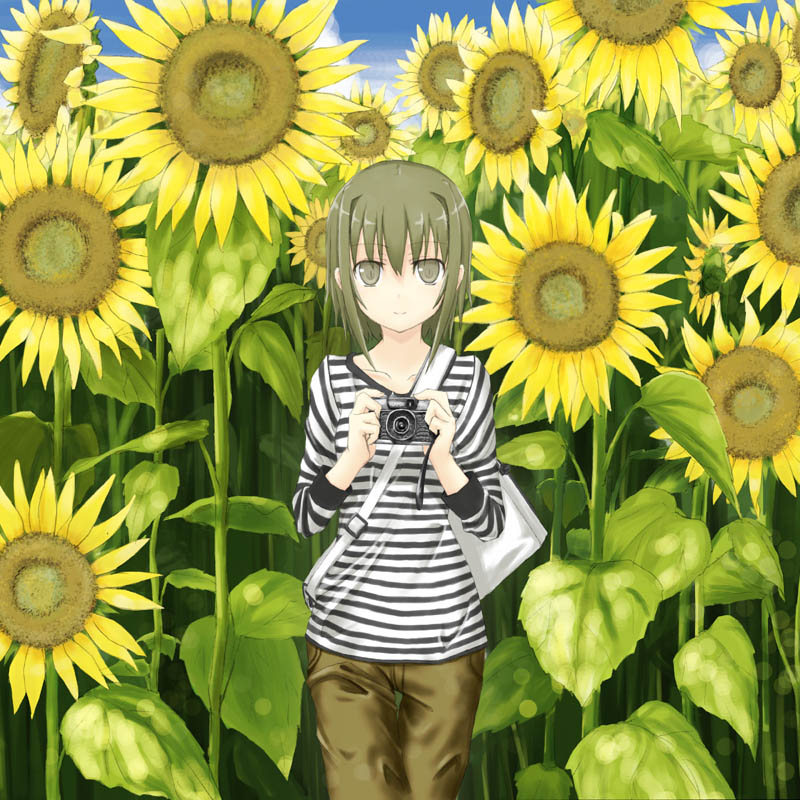 nabeshima tetsuhiro, striped, tagme, camera, flower, solo, sunflower