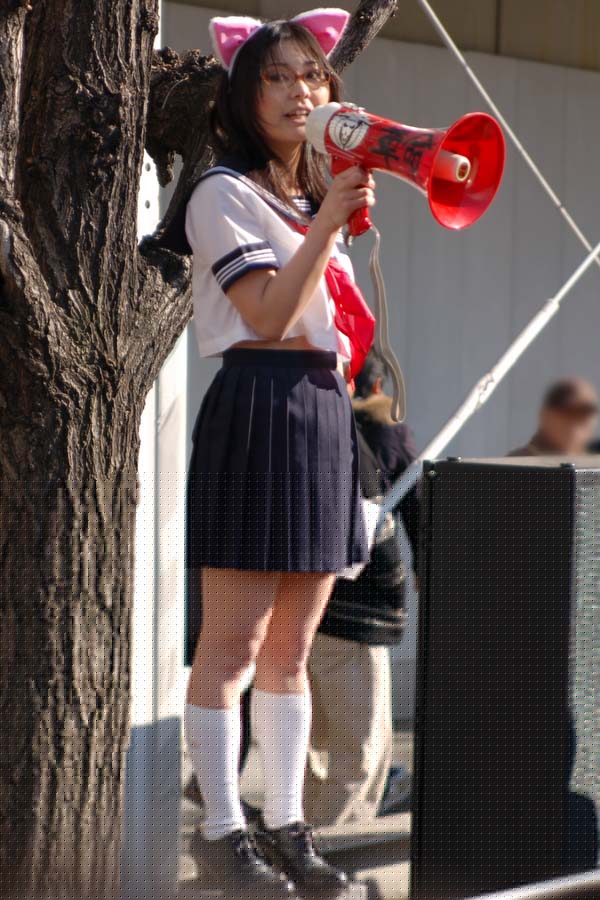 photo (medium), animal ears, cat ears, cosplay, glasses, kneehighs, law15, megaphone, school uniform, serafuku, socks