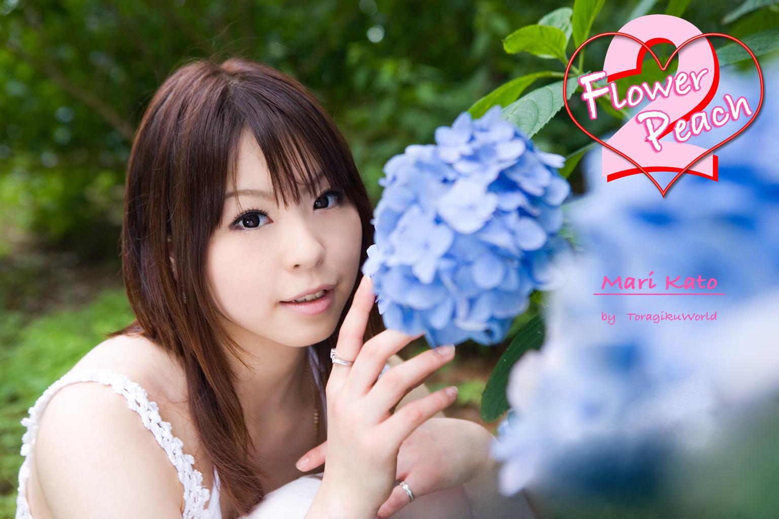 katou mari, photo (medium), dress, flower, flower peach 2