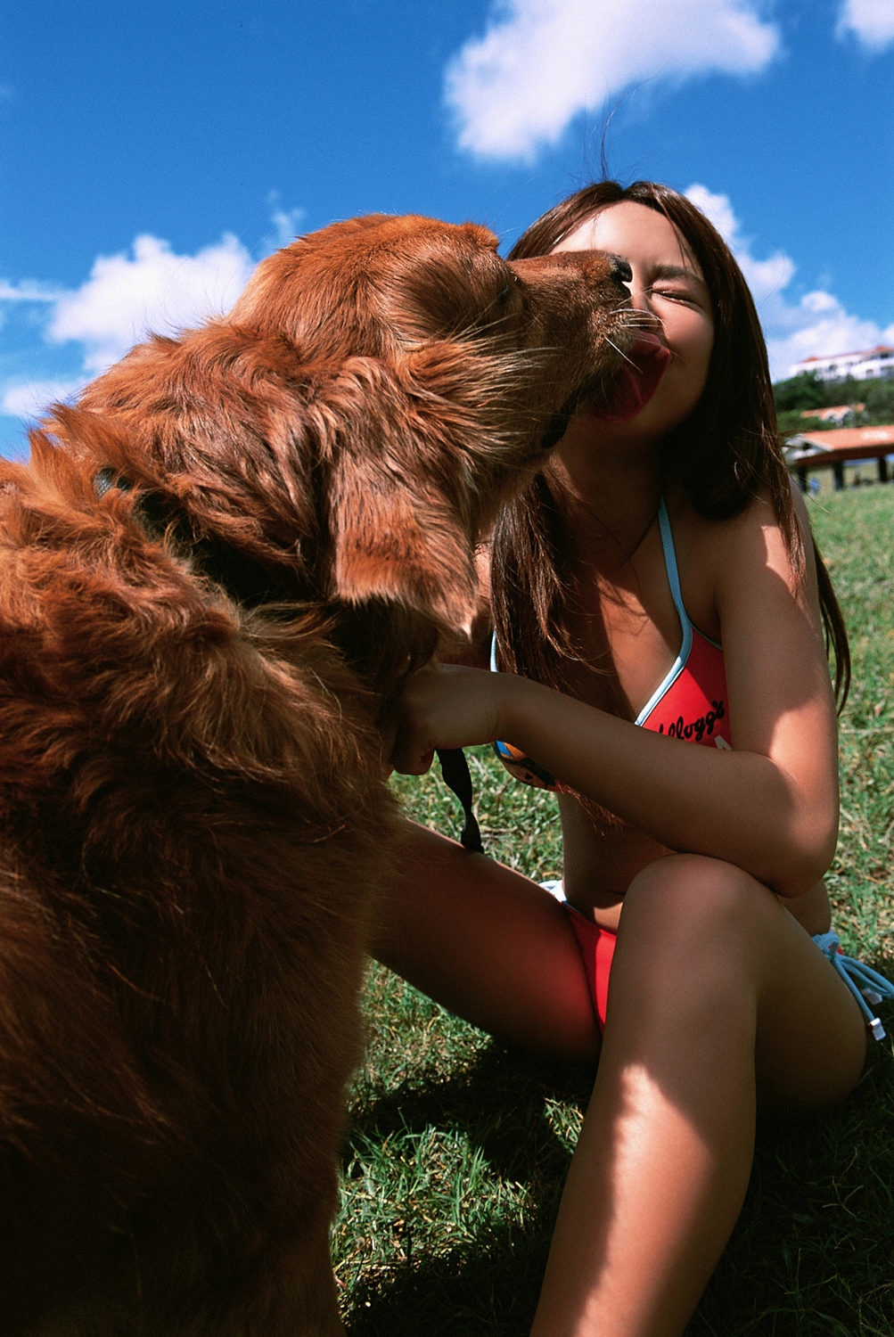 kamata natsumi, highres, photo (medium), bikini, dog, flip-flops, licking, licking another's face, sandals, swimsuit