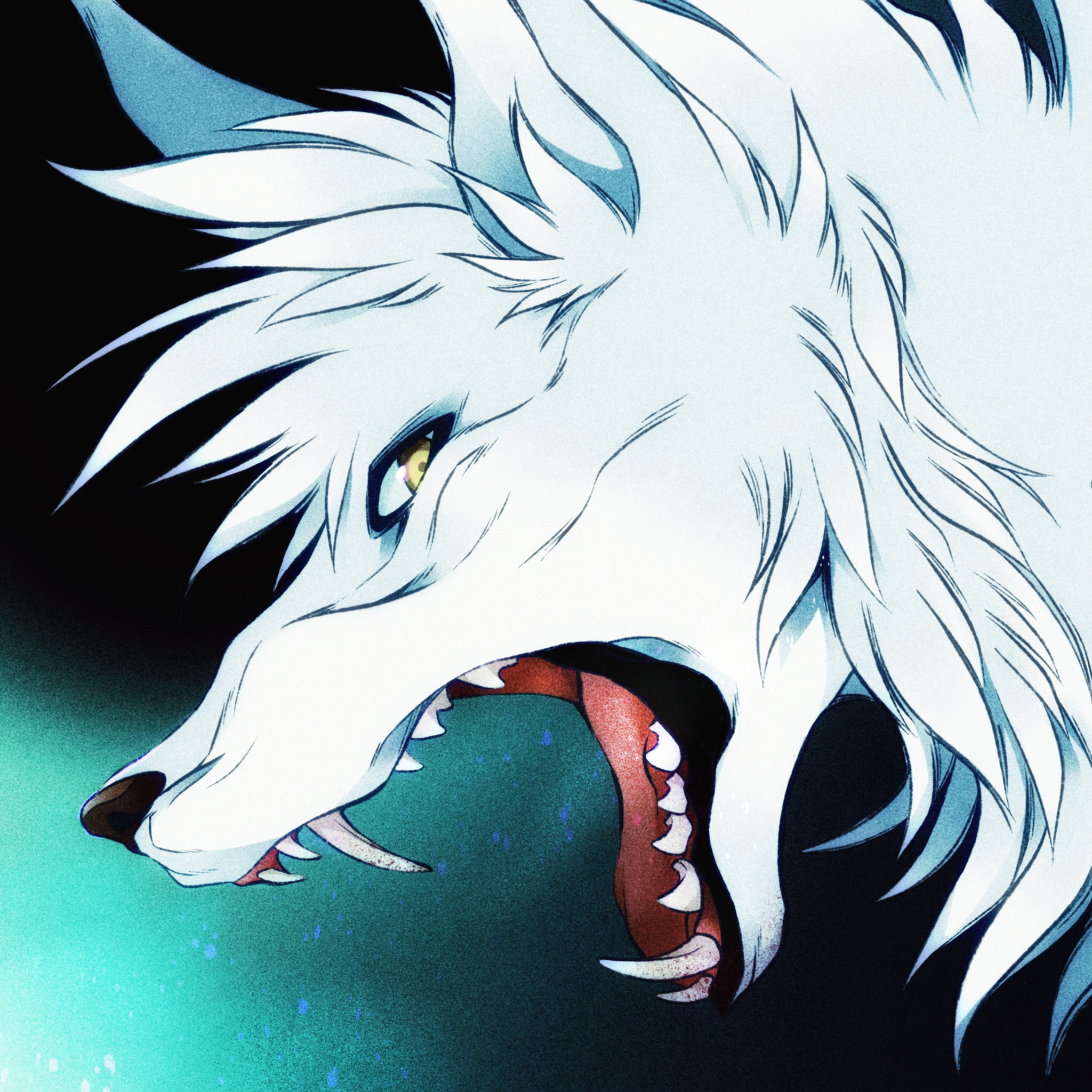 kidzukiray, original, highres, animal focus, black background, blue background, facing to the side, from side, looking to the side, open mouth, roaring, sharp teeth, teeth, tongue, two-tone background, white fur, wolf, yellow eyes