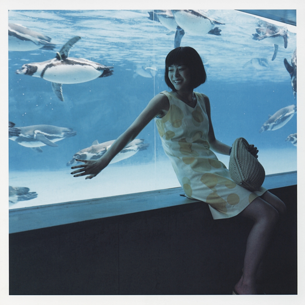 ueno juri, a piacere, highres, photo (medium), aquarium, bag, bird, dress, handbag, penguin