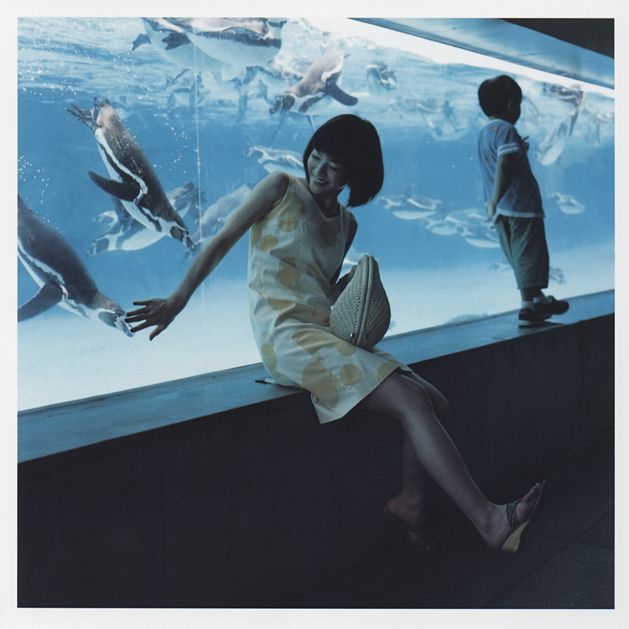 ueno juri, a piacere, highres, photo (medium), aquarium, bird, dress, penguin