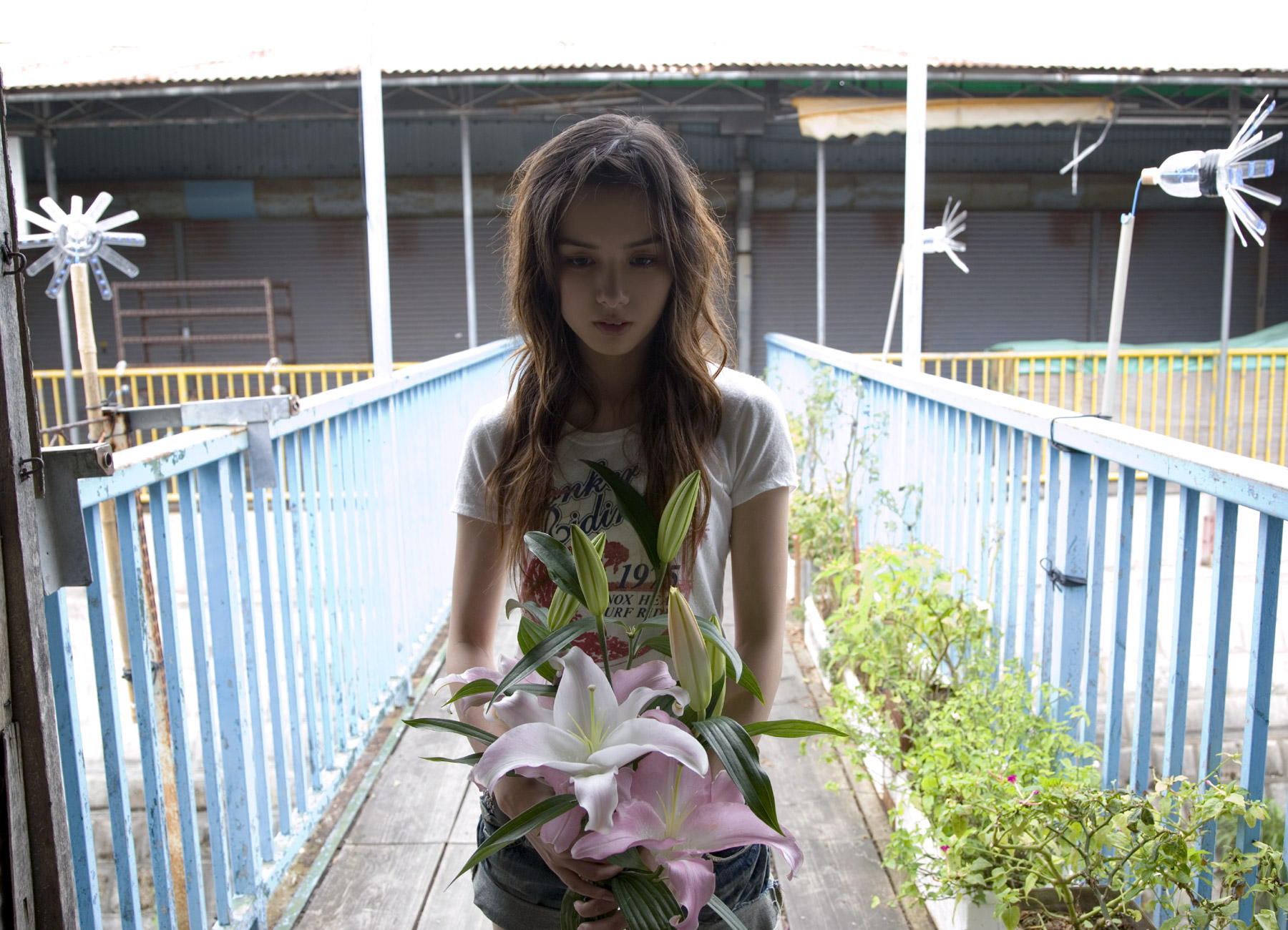 rola chung, highres, photo (medium), tagme, flower, shirt, shorts, t-shirt