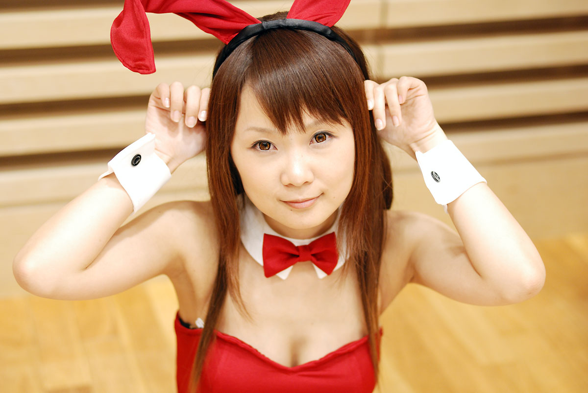 hiromichi, asahina mikuru, suzumiya haruhi no yuuutsu, photo (medium), animal ears, collar, cosplay, leotard, rabbit ears