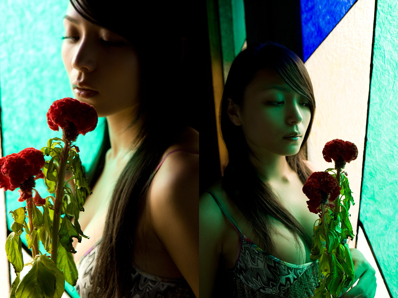 kawamura yukie, photo (medium), tagme, bikini, bikini top only, flower, rose, stained glass, swimsuit