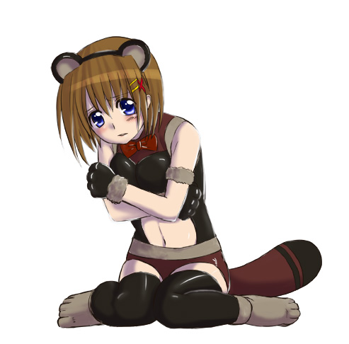 hachi (hachikai), yagami hayate, lyrical nanoha, mahou shoujo lyrical nanoha, mahou shoujo lyrical nanoha strikers, lowres, 00s, 1girl, animal ears, female focus, hair ornament, raccoon ears, solo, thighhighs, x hair ornament