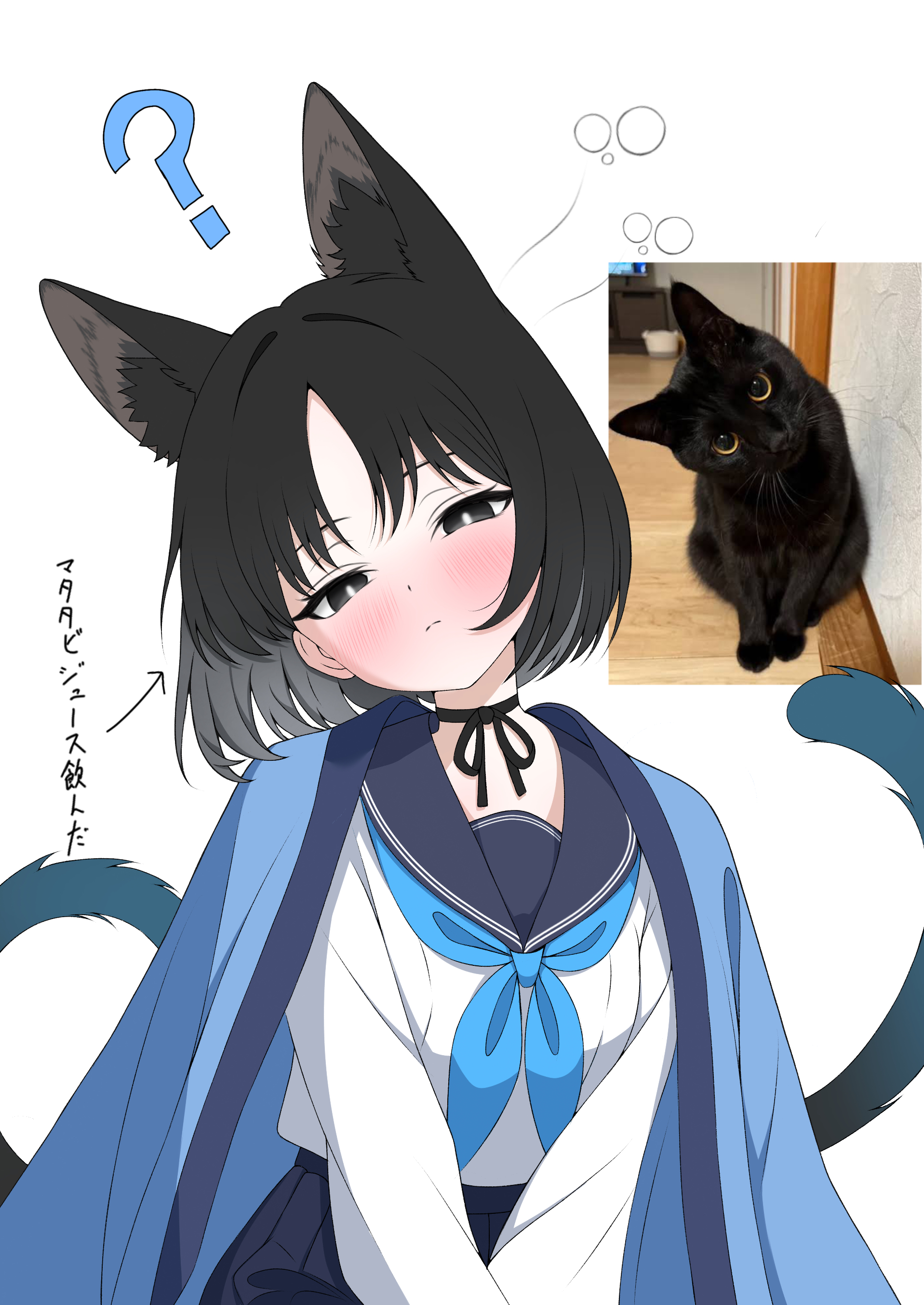 johnny 0716, kikyou (blue archive), blue archive, absurdres, highres, photo-referenced, 1girl, ?, animal ear fluff, animal ears, black eyes, black hair, blue haori, blue neckerchief, blue sailor collar, blue skirt, blush, cat, cat ears, cat girl, cat tail, closed mouth, extra ears, haori, head tilt, japanese clothes, looking at viewer, multiple tails, neckerchief, sailor collar, shirt, short hair, skirt, solo, tail, two tails, white shirt