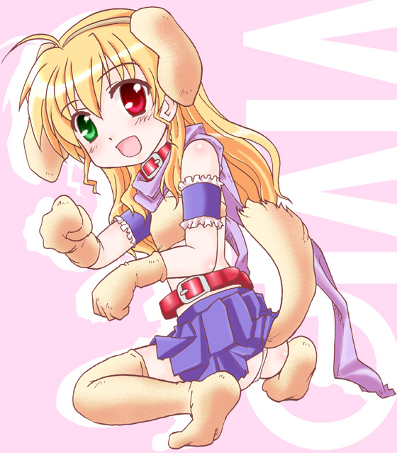kairakuen umenoka, vivio, lyrical nanoha, mahou shoujo lyrical nanoha, mahou shoujo lyrical nanoha strikers, 00s, animal ears, belt, collar, dog ears, heterochromia, solo, tail