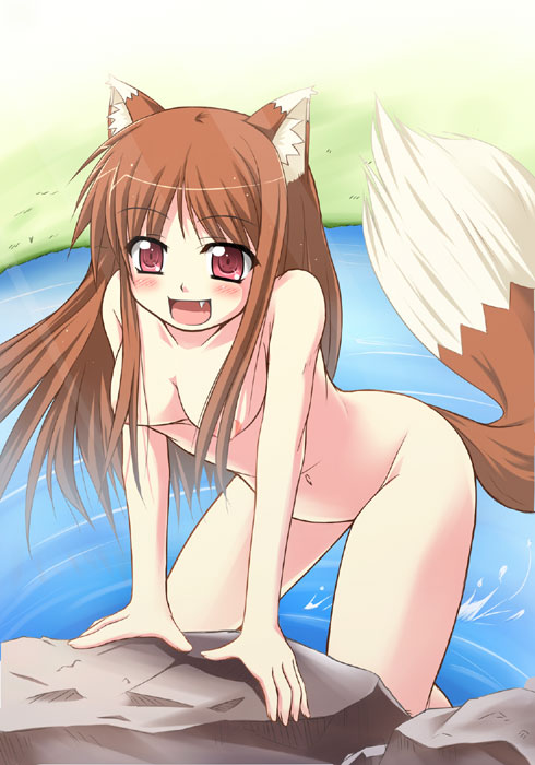 tekehiro, holo, spice and wolf, 00s, animal ears, nude, solo, tail, wolf ears, wolf tail