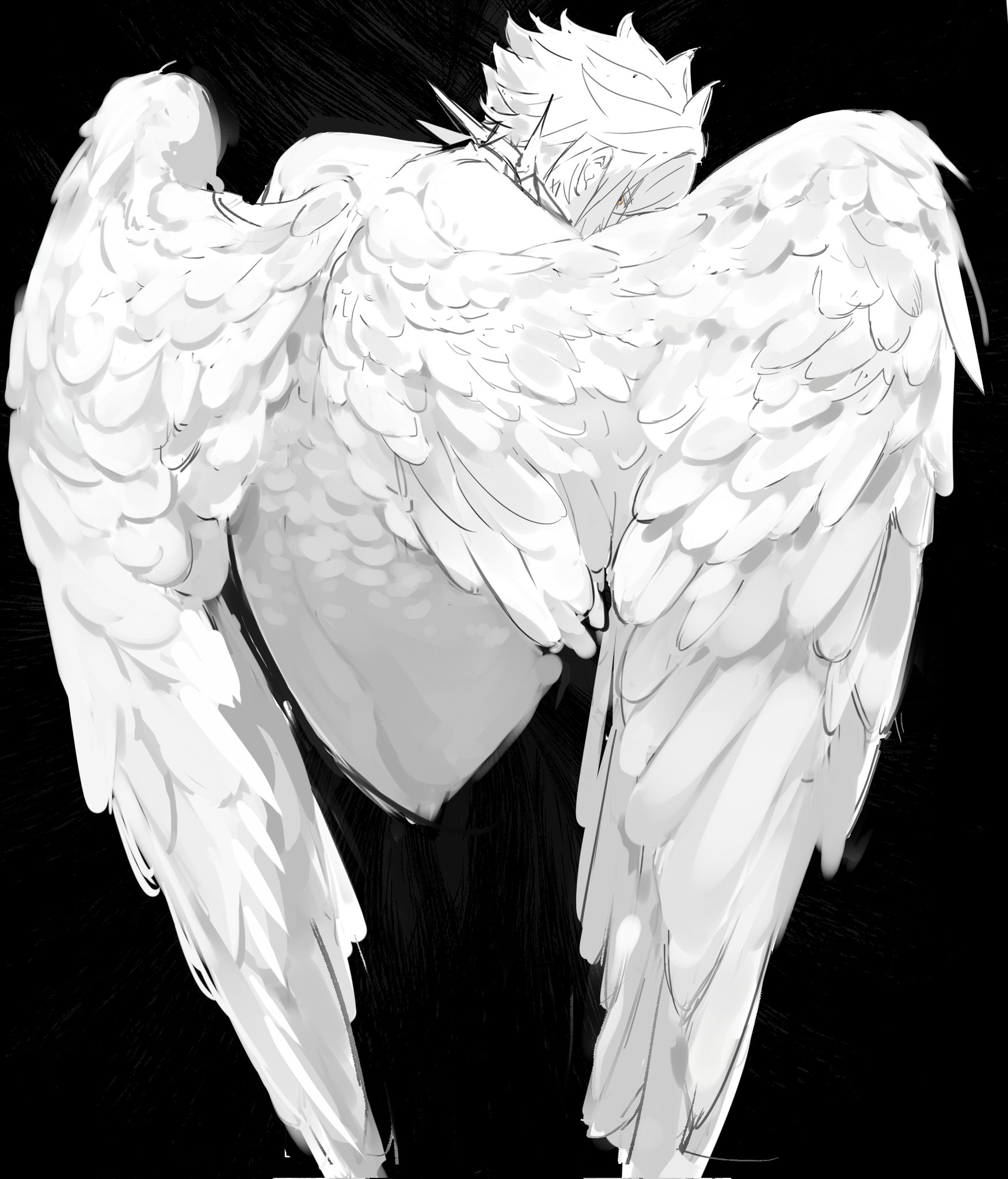 hmayme4238, phainon (honkai: star rail), honkai: star rail, honkai (series), commentary, hashtag-only commentary, highres, 1boy, back, black background, collar, cropped torso, feathered wings, from behind, greyscale, male focus, monochrome, short hair, solo, spiked collar, spikes, wings