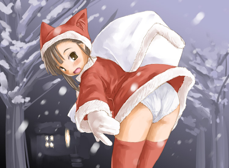 kasuga yukihito, sakurazaki setsuna, mahou sensei negima!, 00s, 1girl, animal ears, animal hat, ass, bag, bent over, blush, brown eyes, brown hair, cat ears, cat tail, christmas, female focus, gloves, hat, looking back, night, open mouth, outdoors, panties, pantyshot, sack, santa costume, snow, solo, tail, thighhighs, tree, underwear, white panties