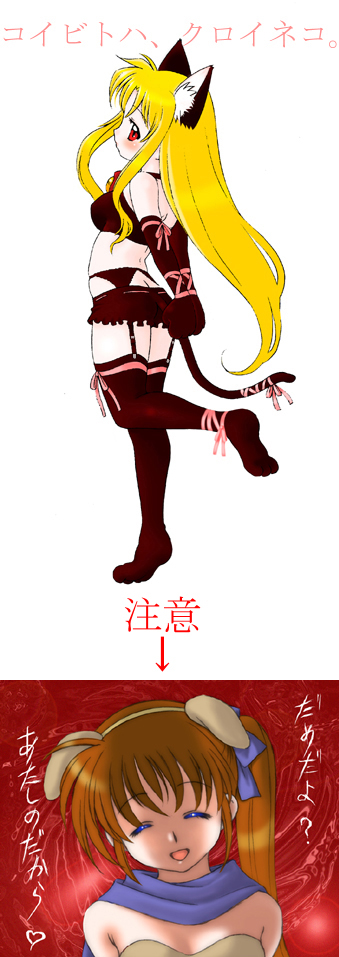 fate testarossa, takamachi nanoha, lyrical nanoha, mahou shoujo lyrical nanoha, mahou shoujo lyrical nanoha strikers, translation request, 00s, animal ears, cat ears, cat tail, dog ears, garter belt, ribbon, tail, thighhighs