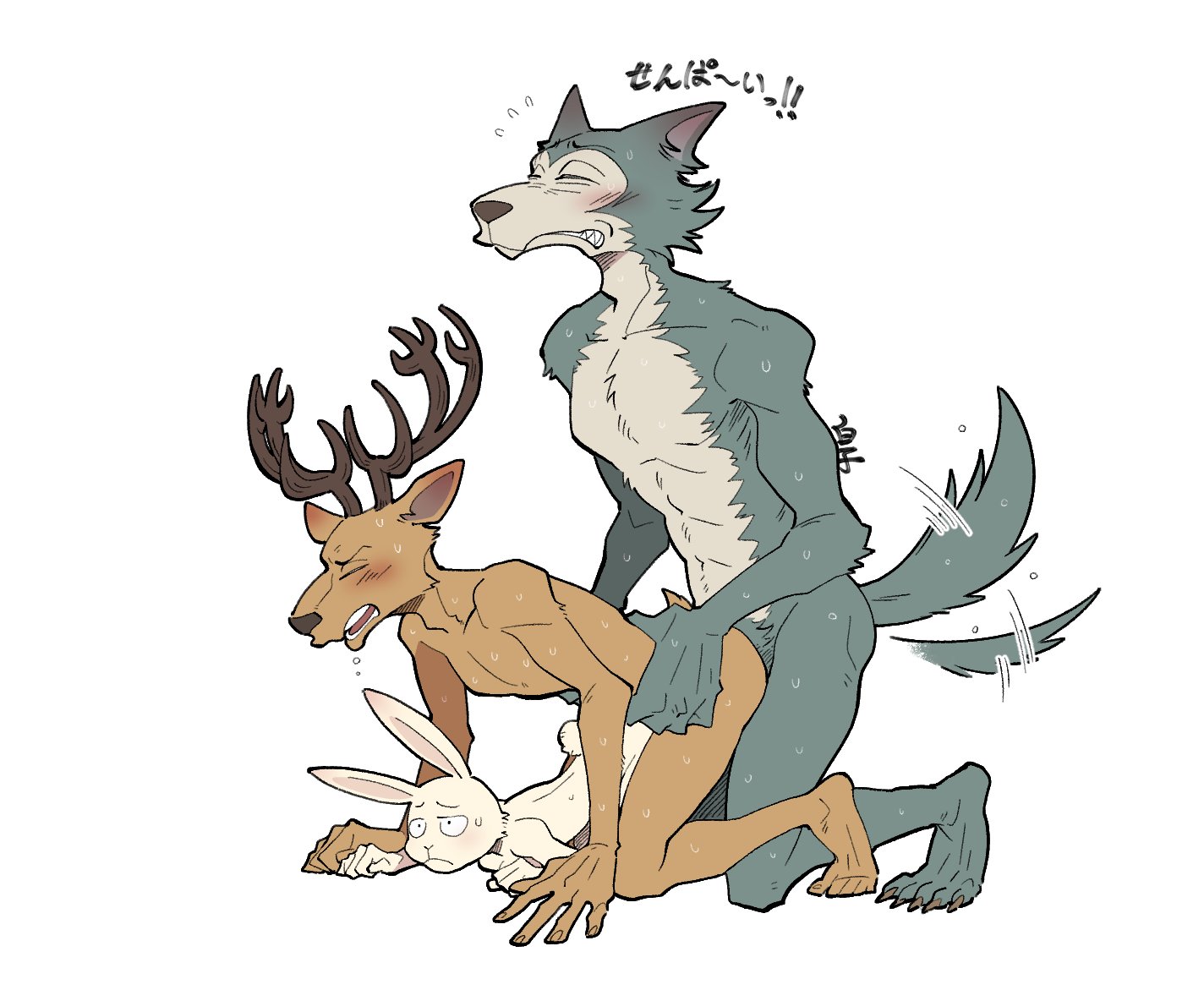 Rule34 – If it exists, there is porn of it / shirako, haru (beastars), legoshi (beastars), louis (beastars) / 588