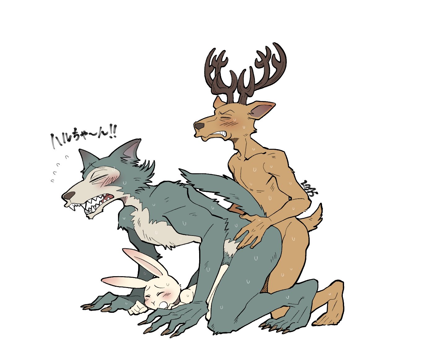 Rule34 – If it exists, there is porn of it / shirako, haru (beastars), legoshi (beastars), louis (beastars) / 590