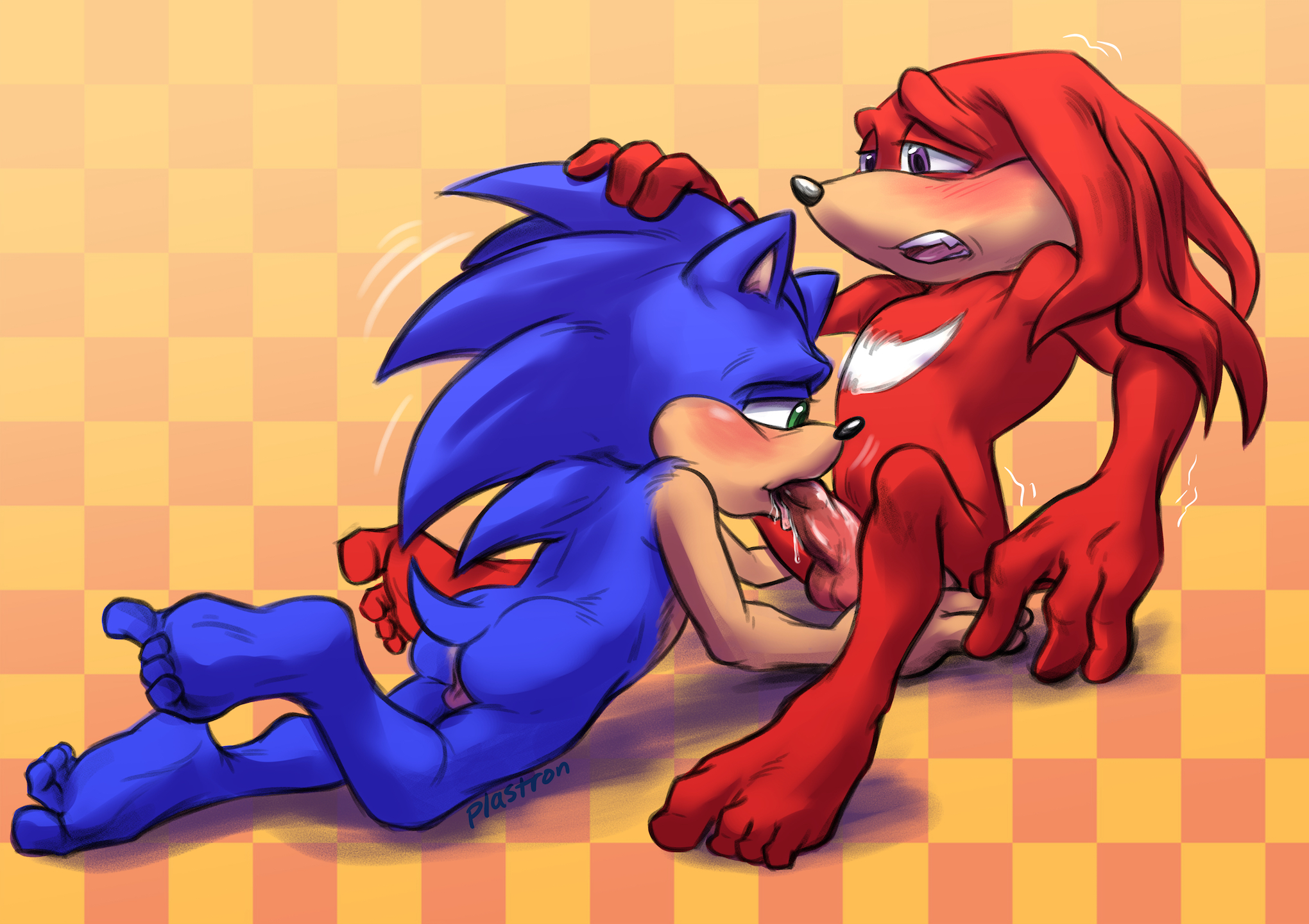 Rule34 – If it exists, there is porn of it / knuckles the echidna, sonic the hedgehog / 722
