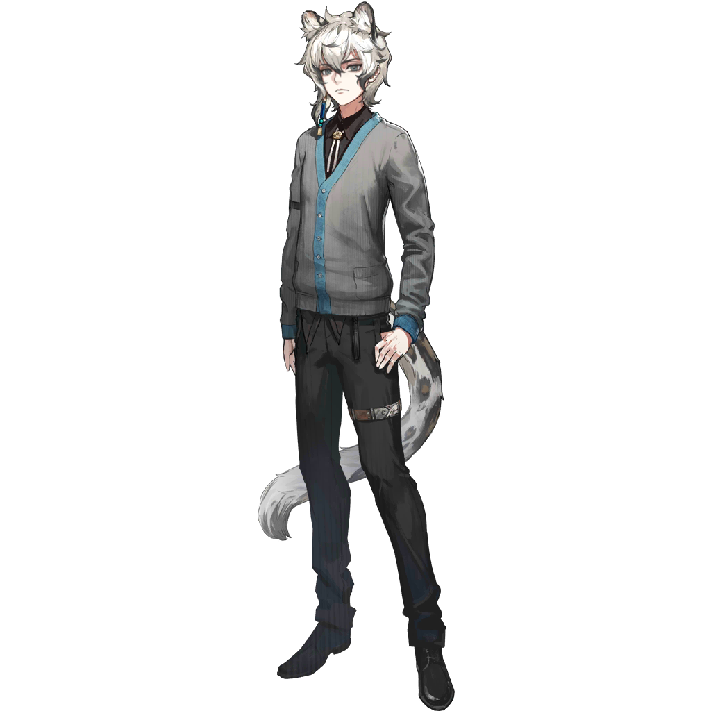 ryuuzaki ichi, silverash (arknights), silverash (young) (arknights), arknights, official art, third-party source, 1boy, aged down, animal ears, bishounen, black shirt, black shoes, bolo tie, cardigan, collared shirt, dress shirt, earrings, full body, grey cardigan, jewelry, leopard boy, leopard ears, leopard tail, long sleeves, looking at viewer, male focus, official alternate costume, shirt, shoes, simple background, single earring, snow leopard boy, snow leopard ears, snow leopard tail, solo, standing, tachi-e, tail, thighlet, transparent background, white hair