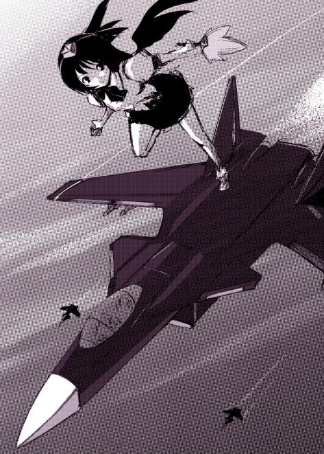 cofepig, shameimaru aya, ace combat, touhou, looking away, 1girl, aircraft, airplane, contrail, female focus, fighter jet, halftone, hat, looking at viewer, military, military vehicle, moire, monochrome, purple theme, skirt, smile, solo, vehicle focus, wings