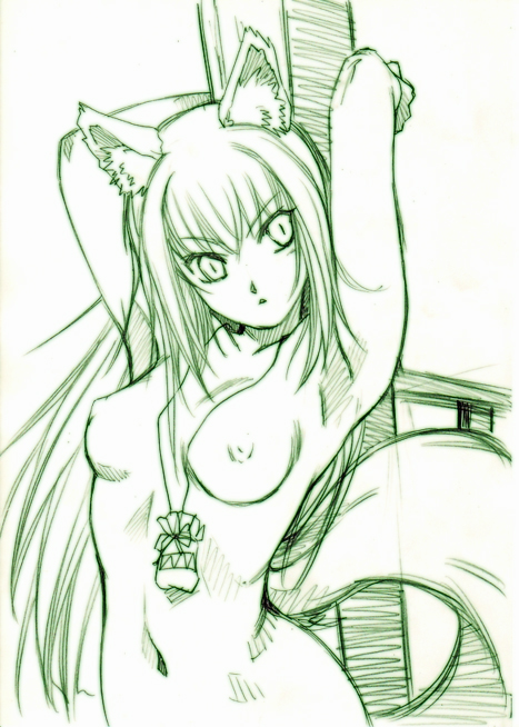 hisahiko, holo, spice and wolf, 00s, 1girl, animal ears, breasts, female focus, medium breasts, monochrome, nipples, nude, solo, tail, wolf ears, wolf tail