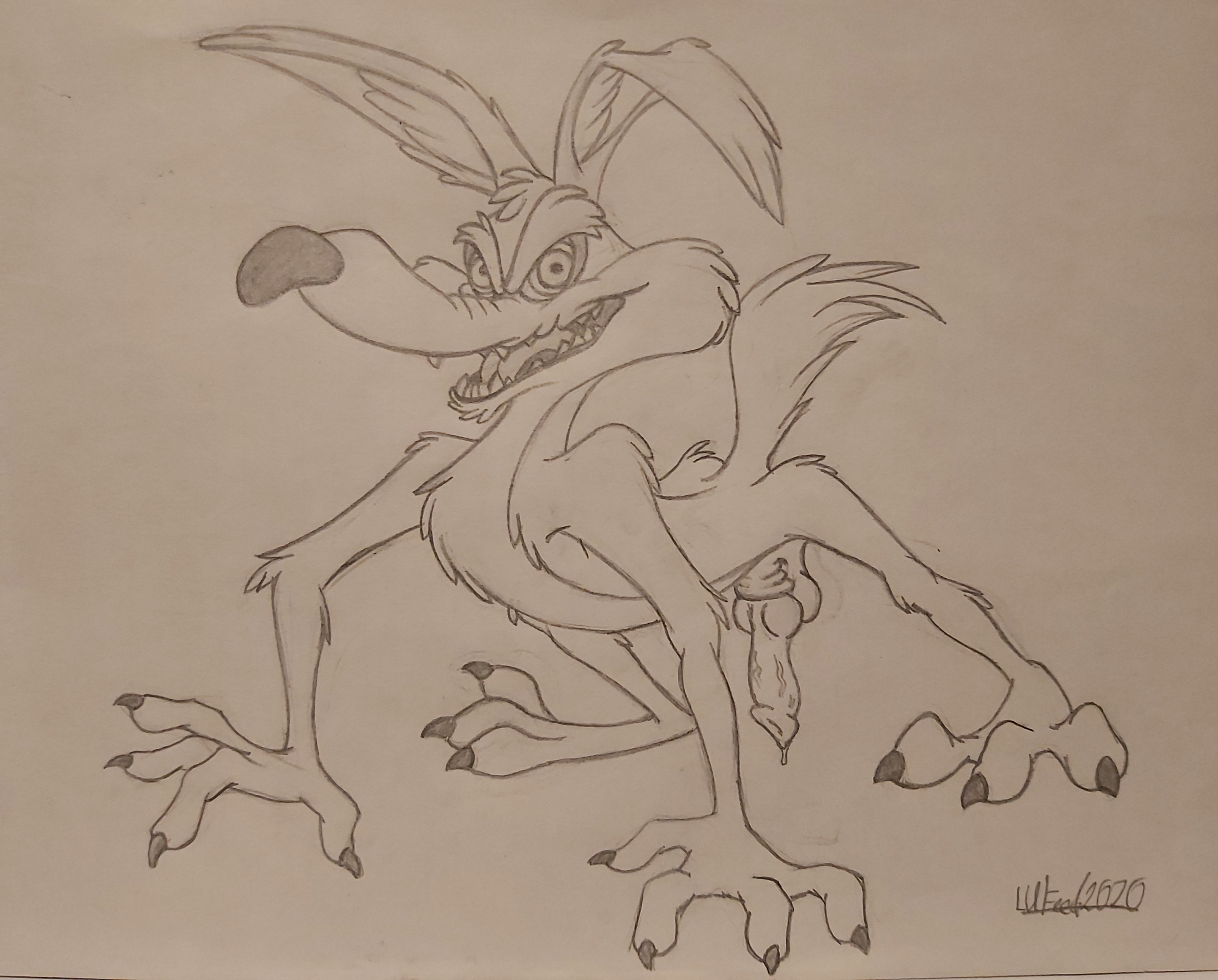 Rule34 – If it exists, there is porn of it / lufeed, wile e. coyote / 1386