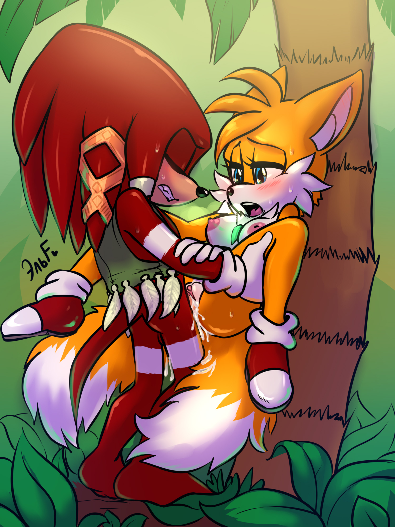 Rule34 – If it exists, there is porn of it / krazyelf, knuckles the echidna, tails / 1564